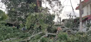 cote-divoire-drame-a-grand-bassam-une-branche-dun-arbre-centenaire-tue-2-personnes-devant-la-mairie